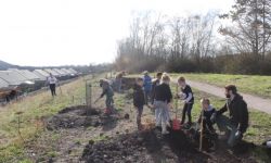 Plantations Cavalier   033